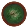 Scheepjes Cotton Whirl